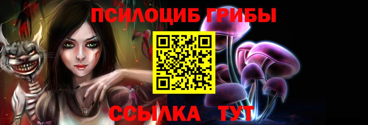Псилоцибиновые грибы ЛСД  Псилоцибиновые грибы мухоморы  Вход с VPN  Татарск 